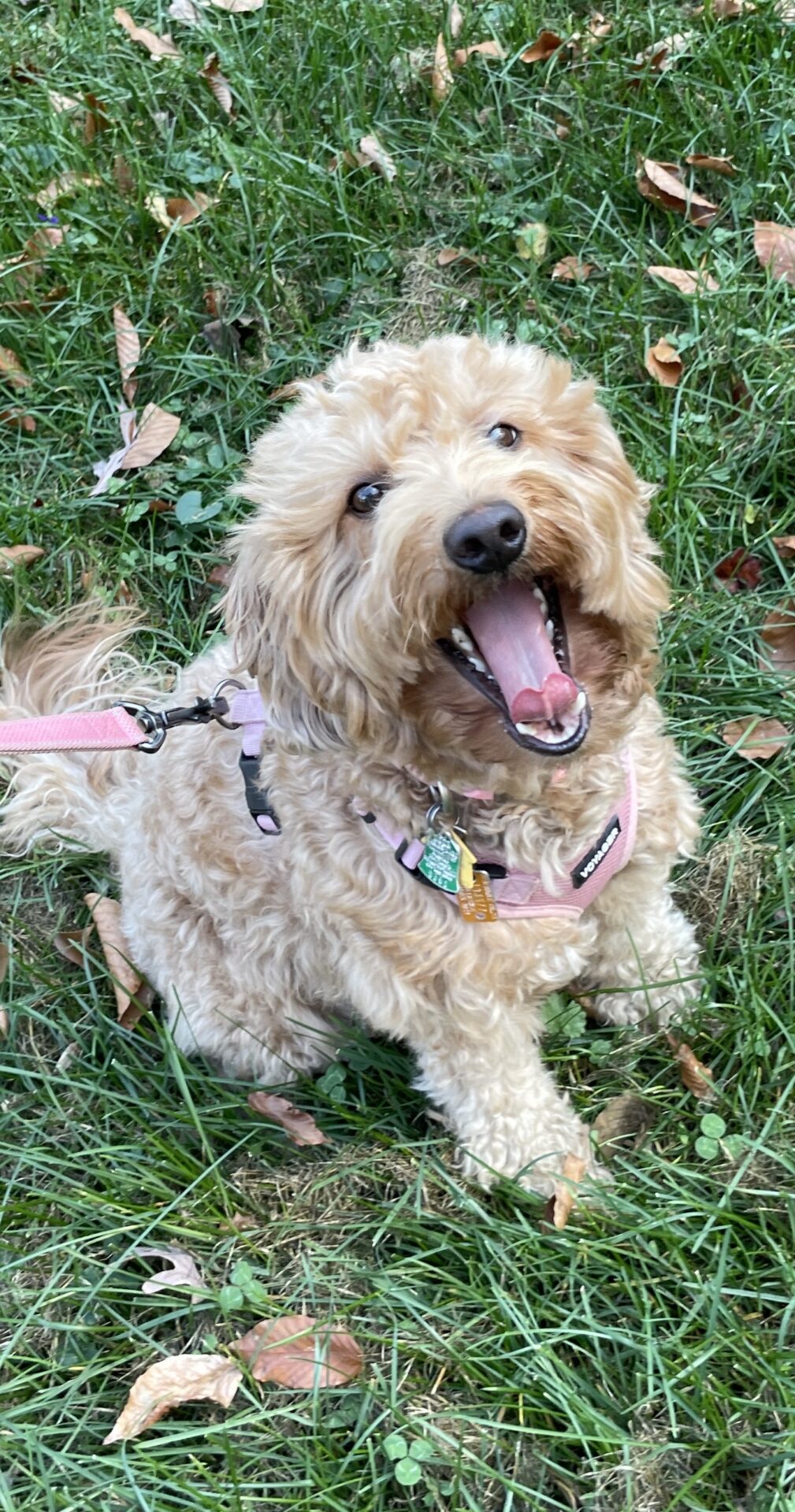 IMG_3536 The Dam - Lily<br />